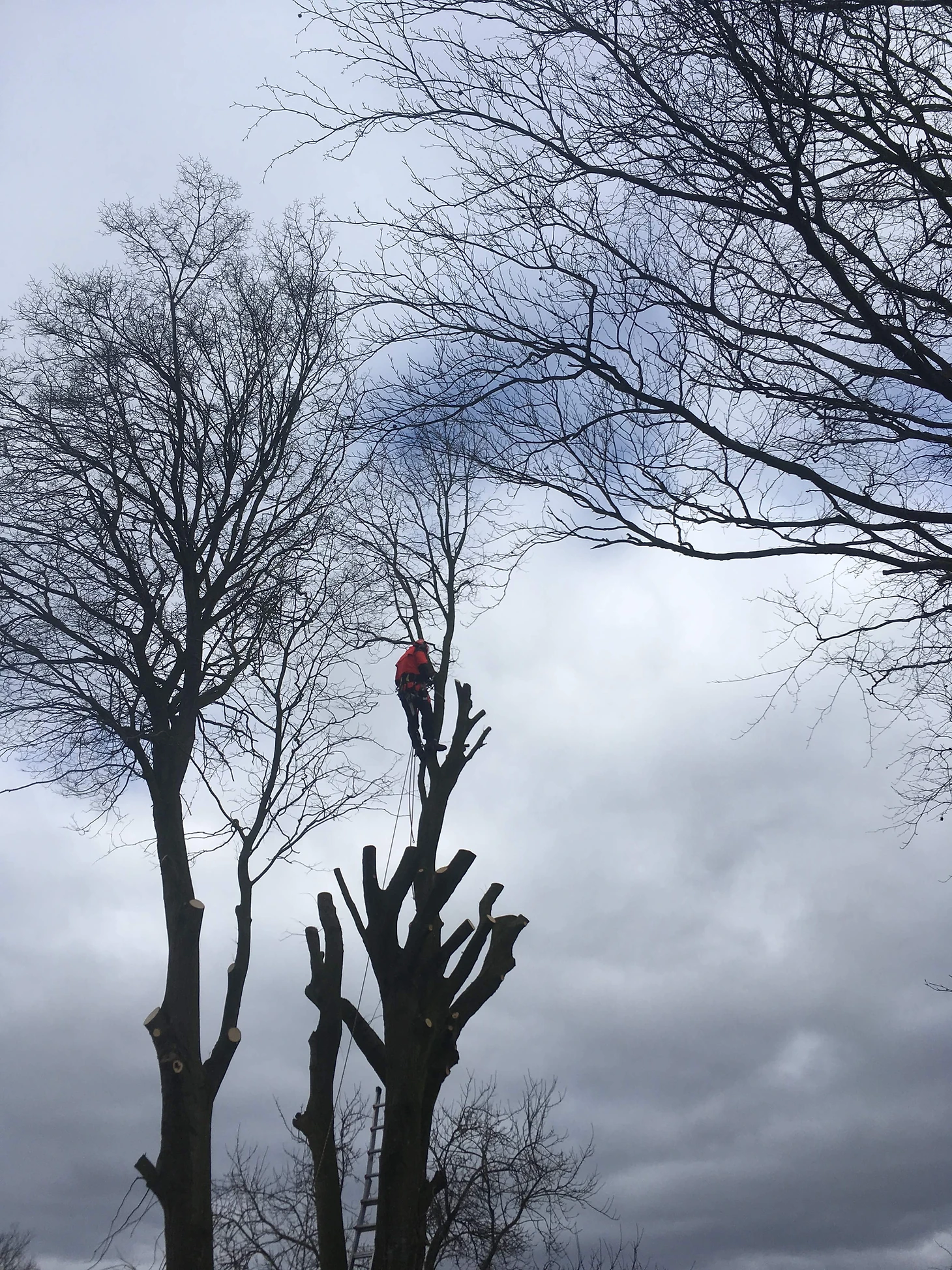 4ff652_3fa1d8fcc41740e7878c245aede33532~mv2_d_3024_4032_s_4_2