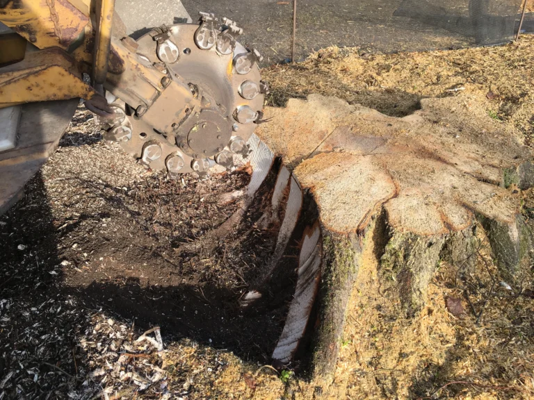 4ff652_30fcc344a69a46e3b5748531c641eed5~mv2_d_4032_3024_s_4_2