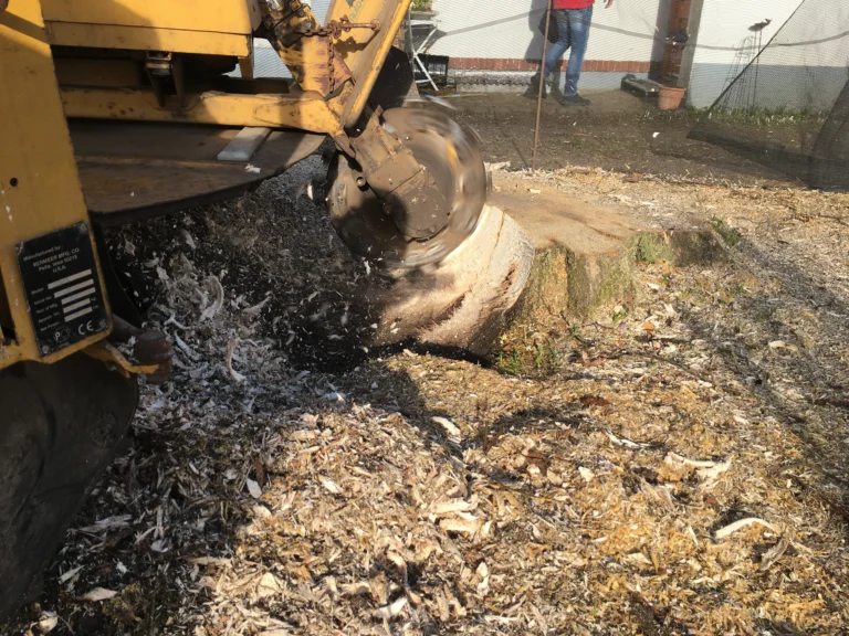 4ff652_5d6191091d2048f6b5206c4f509592fc~mv2_d_4032_3024_s_4_2