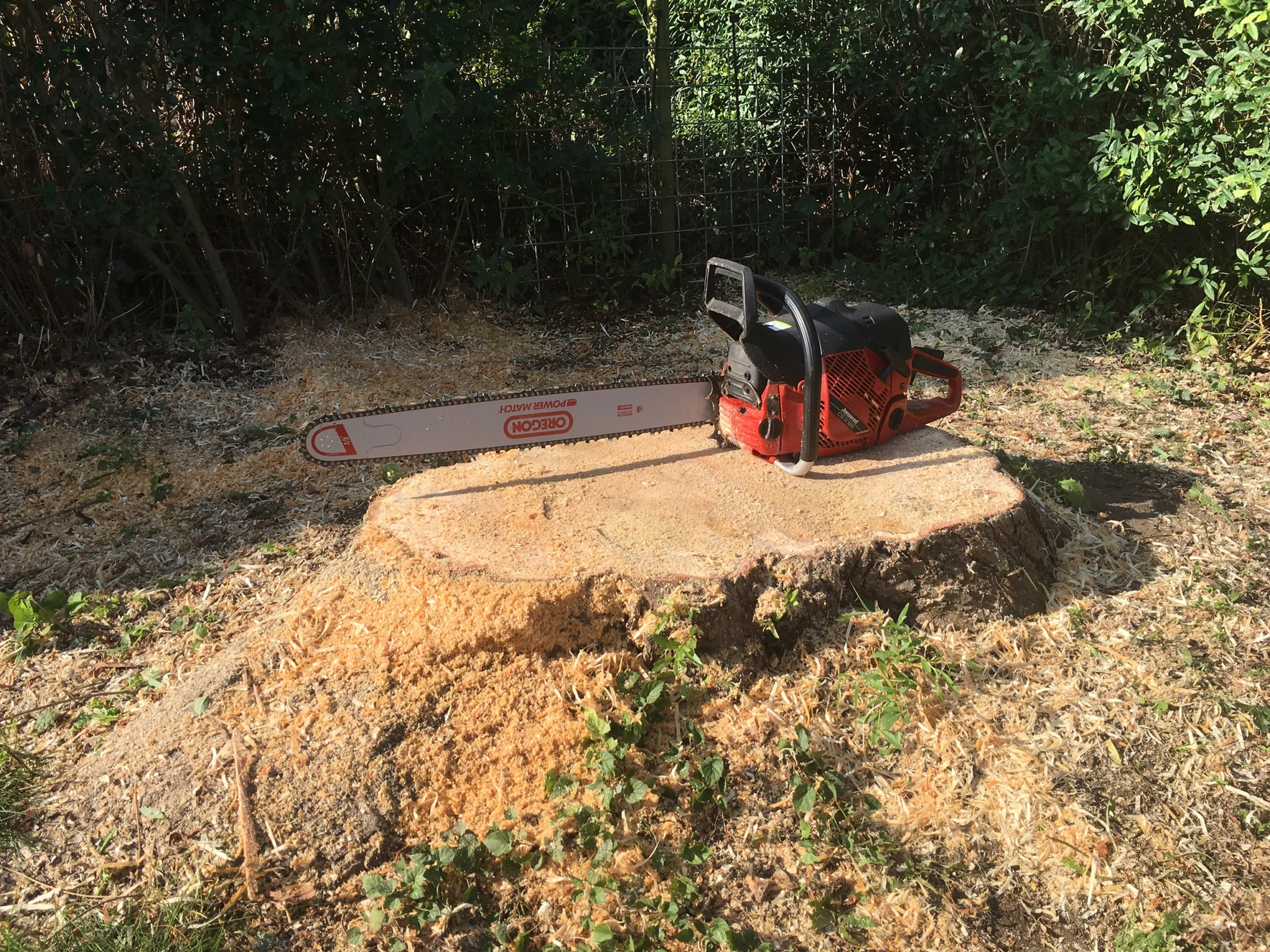 4ff652_a543c98755a74e32abeddfd671cbd57c~mv2_d_4032_3024_s_4_2