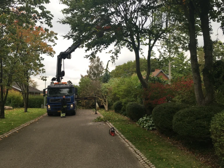 4ff652_ae323970e8eb49a796198afe1d0bda7f~mv2_d_4032_3024_s_4_2