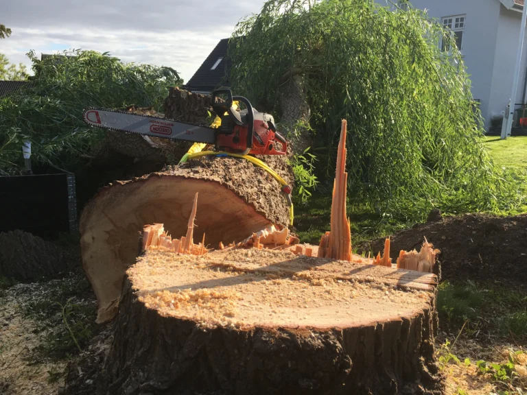 4ff652_f8b06729cf044170a02411ed2c609cd2~mv2_d_4032_3024_s_4_2