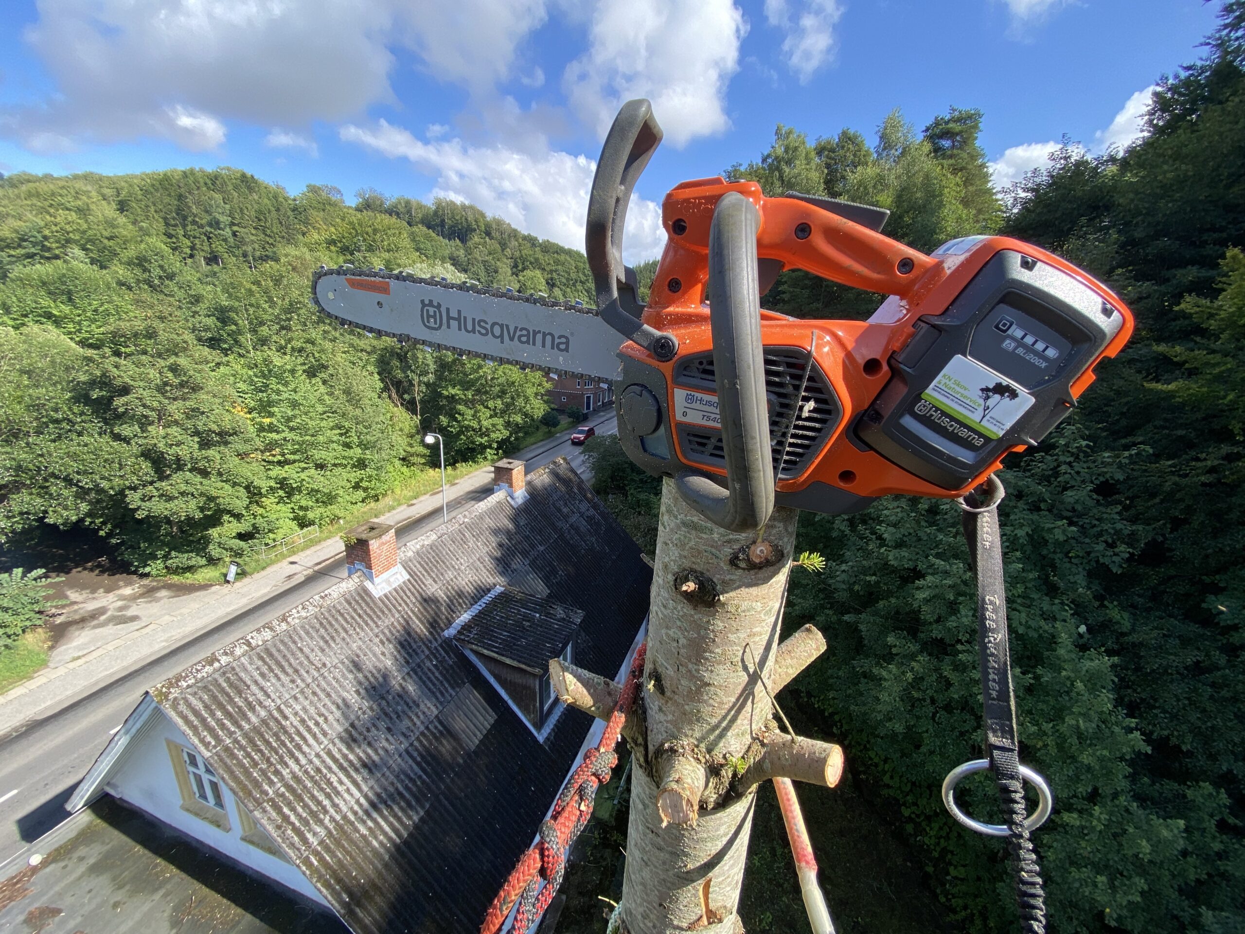 Topkapning af grantrÃ¦