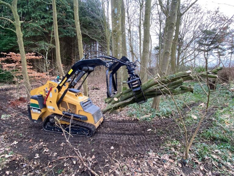 UdkÃ¸rsel af trÃ¦