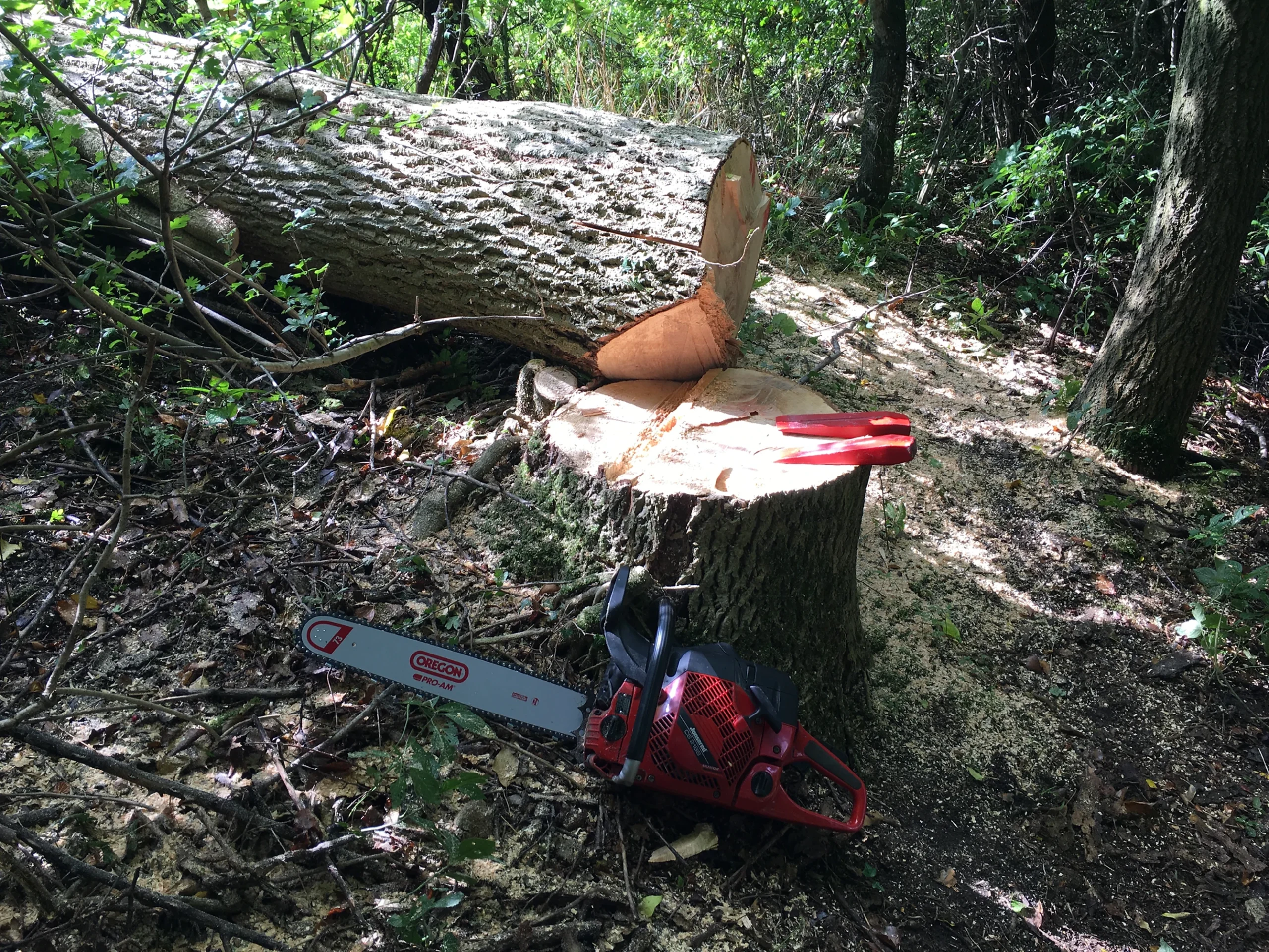 Træfældning Kolding